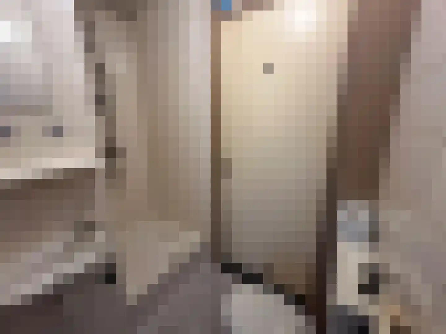 Kleine Heistraat 16 K332 Wernhout thumbnail 17