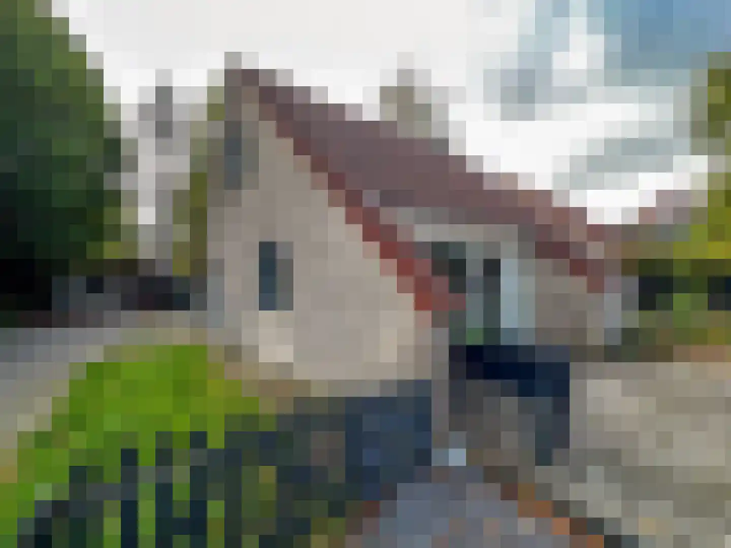 Kleine Heistraat 16 K332 Wernhout thumbnail 28