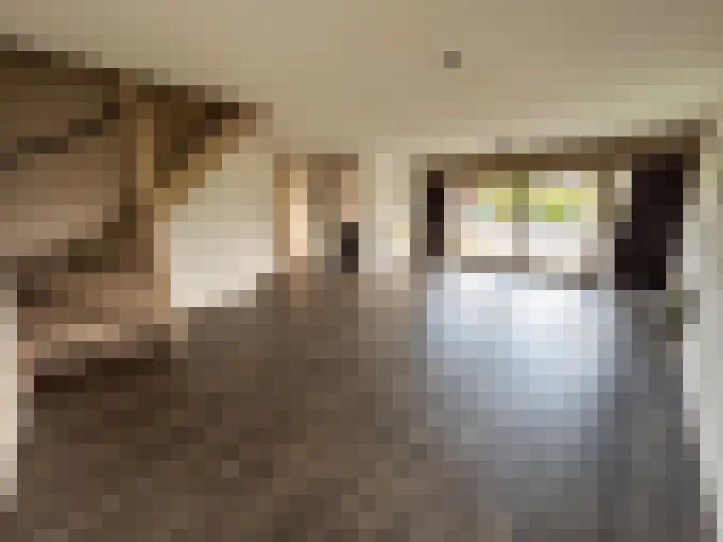 Kleine Heistraat 16 K332 Wernhout thumbnail 4