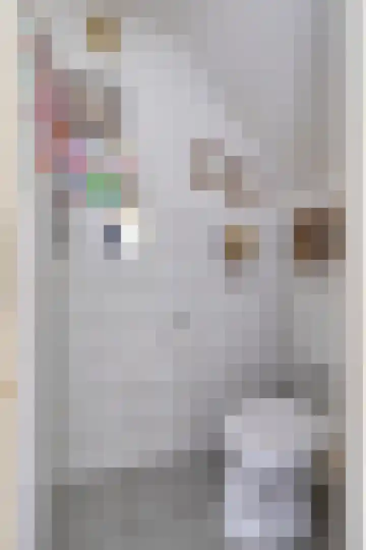 Kleine Heistraat 16 K340 Wernhout thumbnail 12