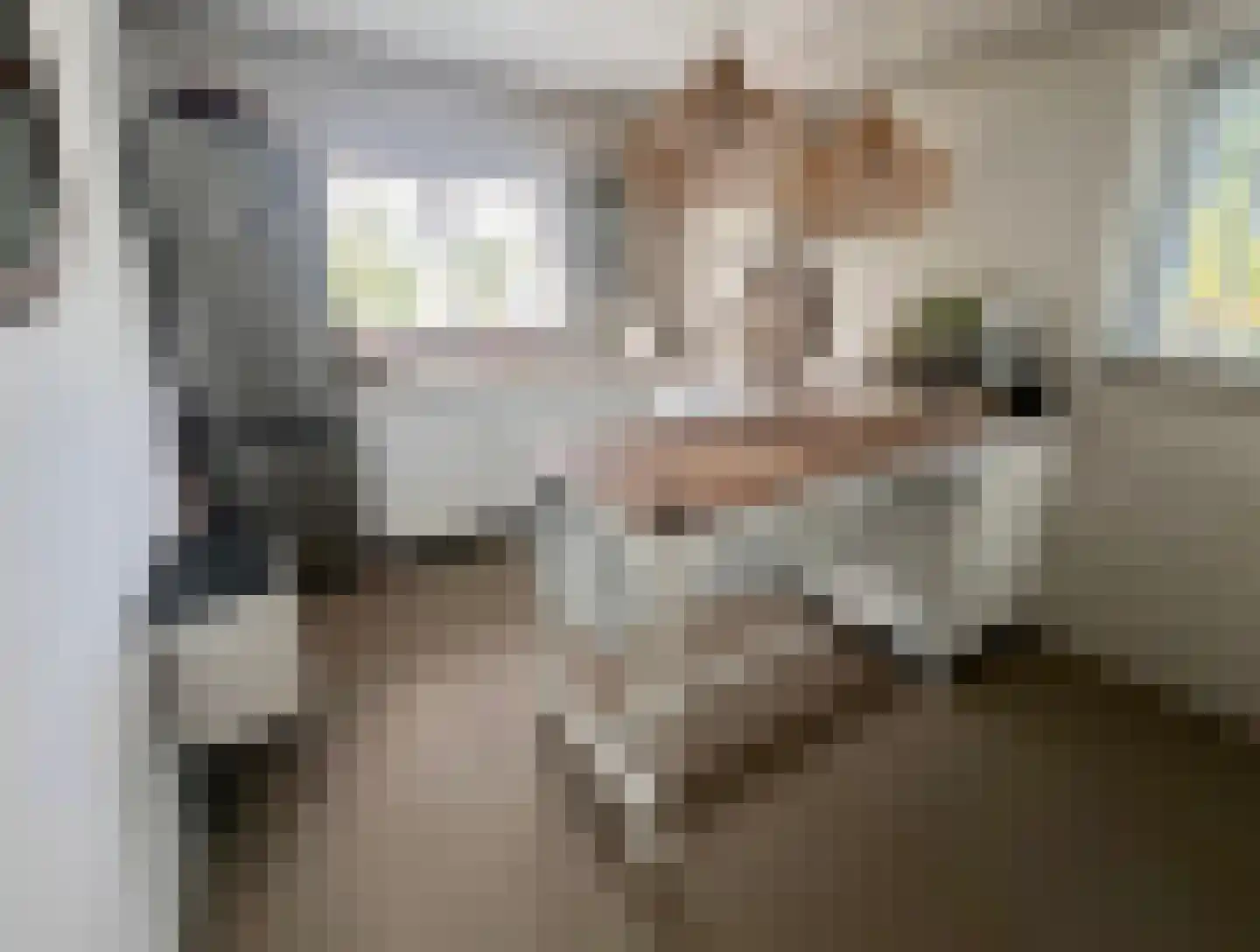 Kleine Heistraat 16 K368 Wernhout thumbnail 19