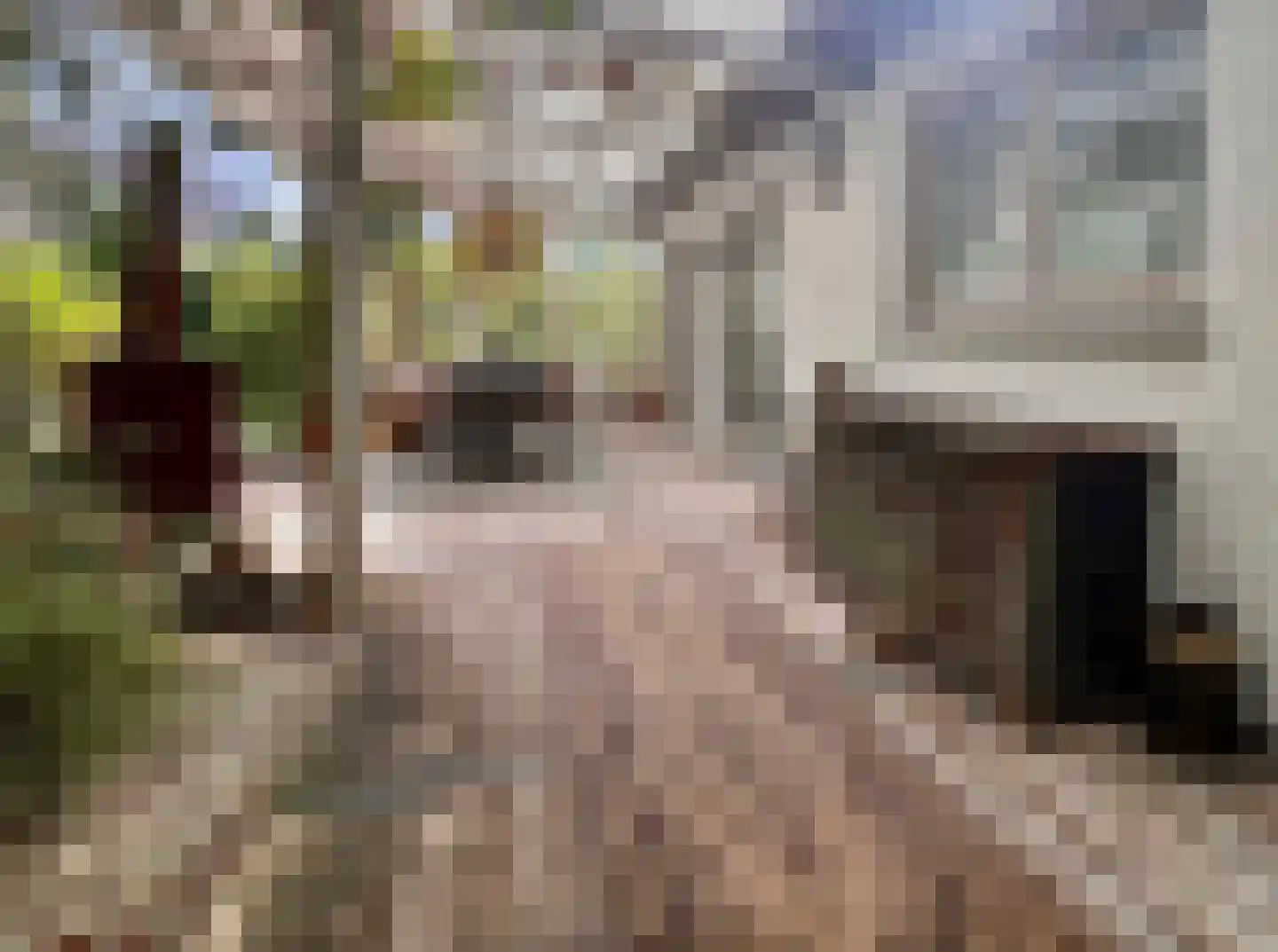 Kleine Heistraat 16 K368 Wernhout thumbnail 22