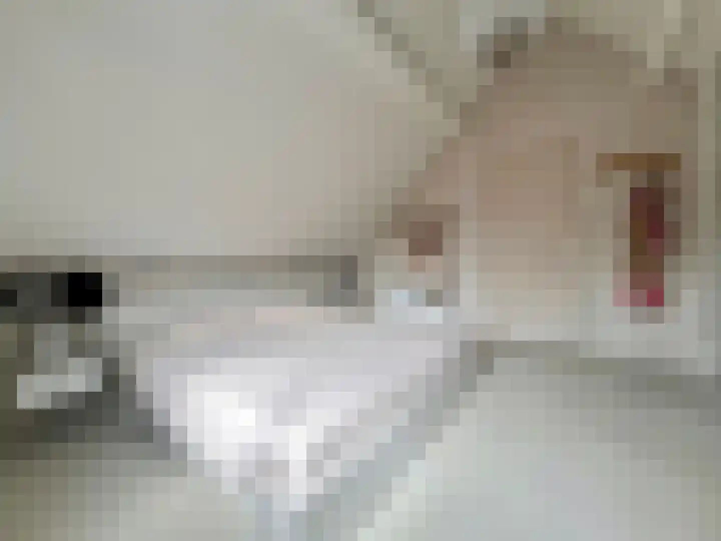 Kleine Heistraat 16 K368 Wernhout thumbnail 25