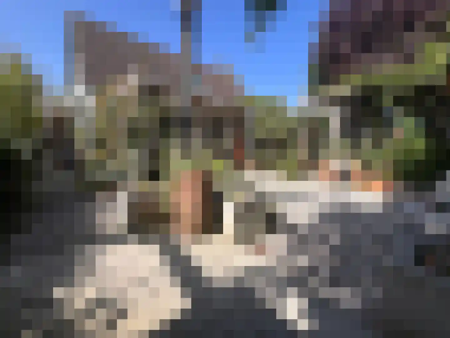 Kleine Heistraat 16 K368 Wernhout thumbnail 28