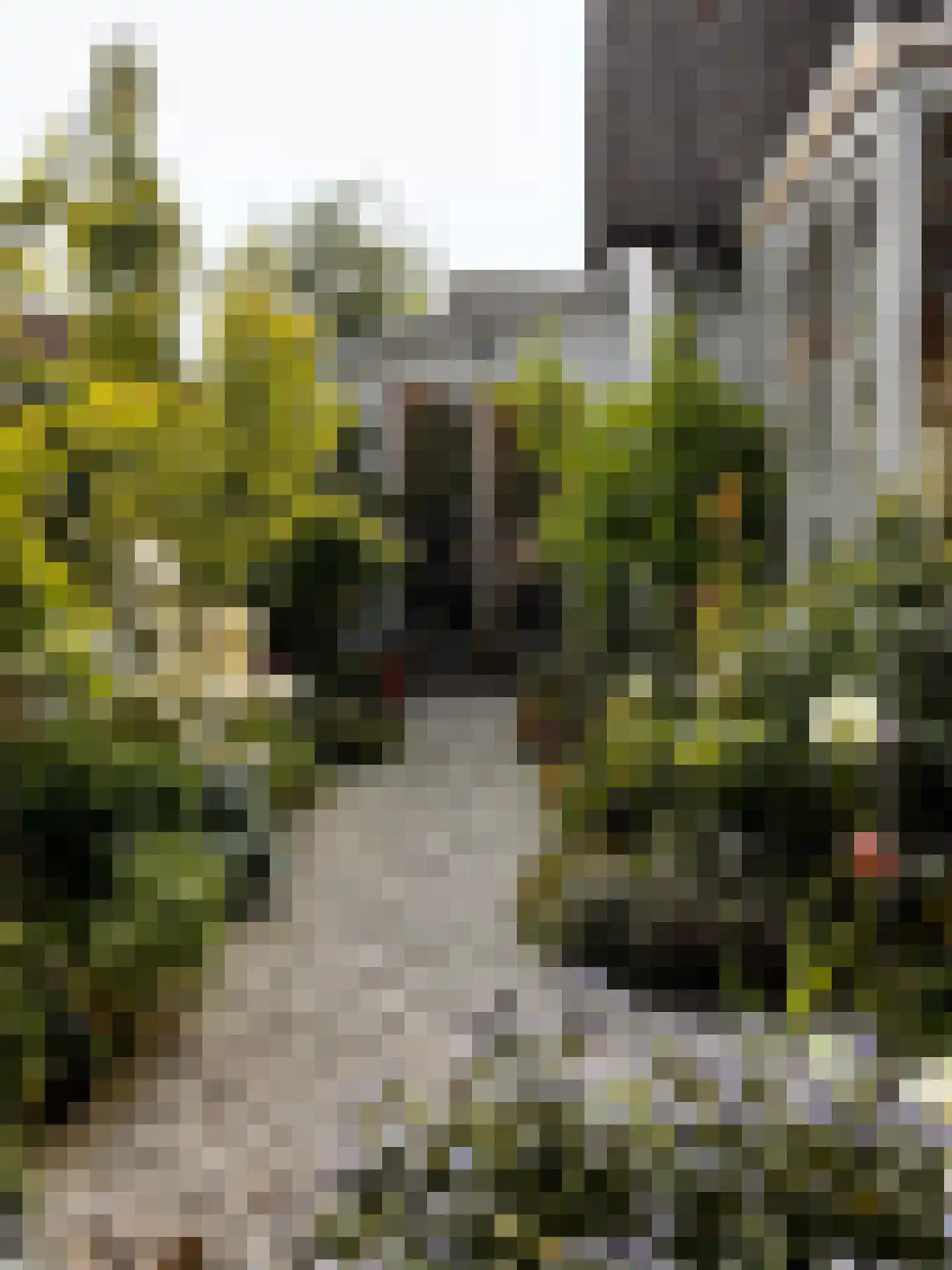Kleine Heistraat 16 K368 Wernhout thumbnail 30