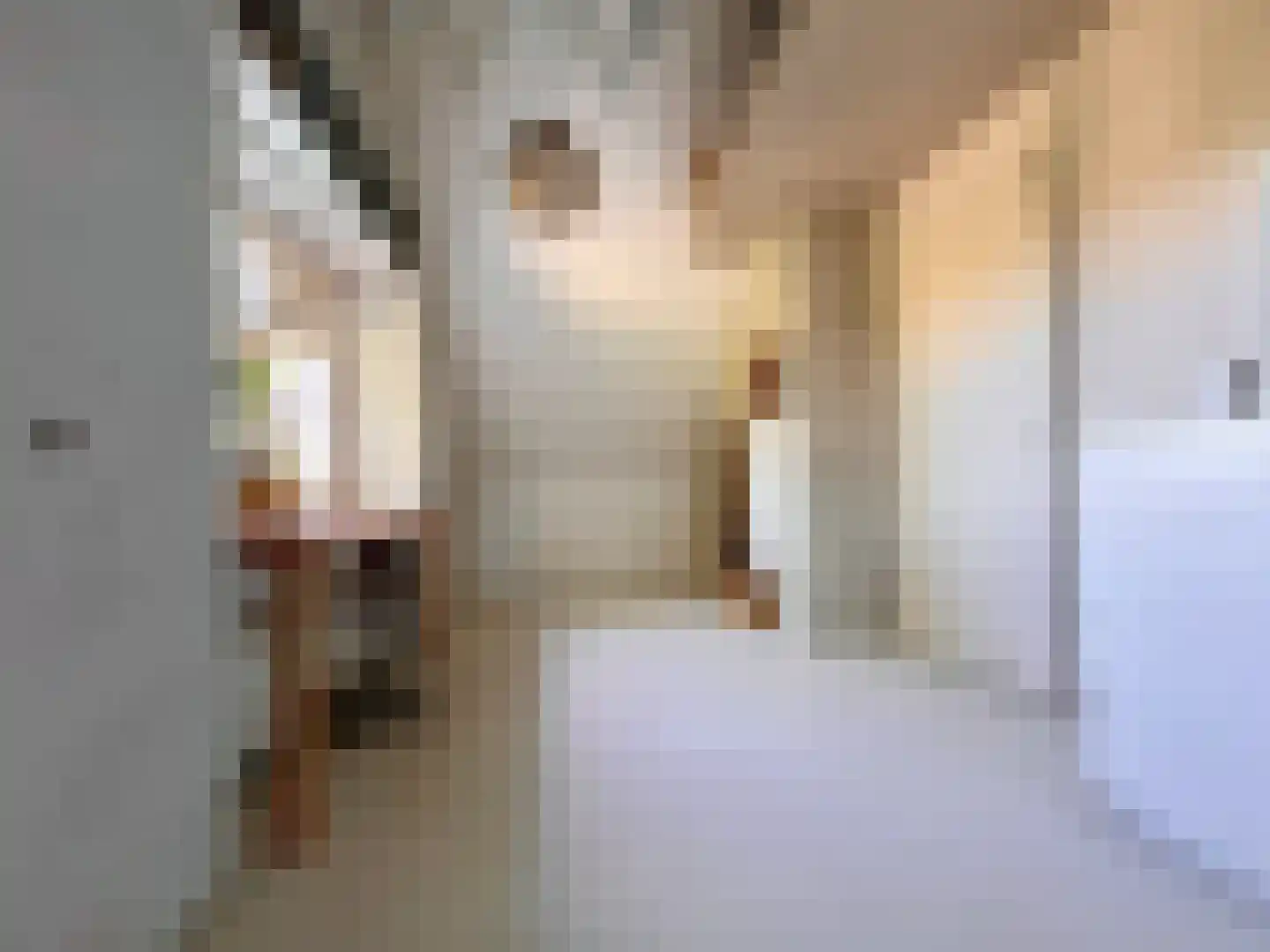 Kleine Heistraat 16 K368 Wernhout thumbnail 35