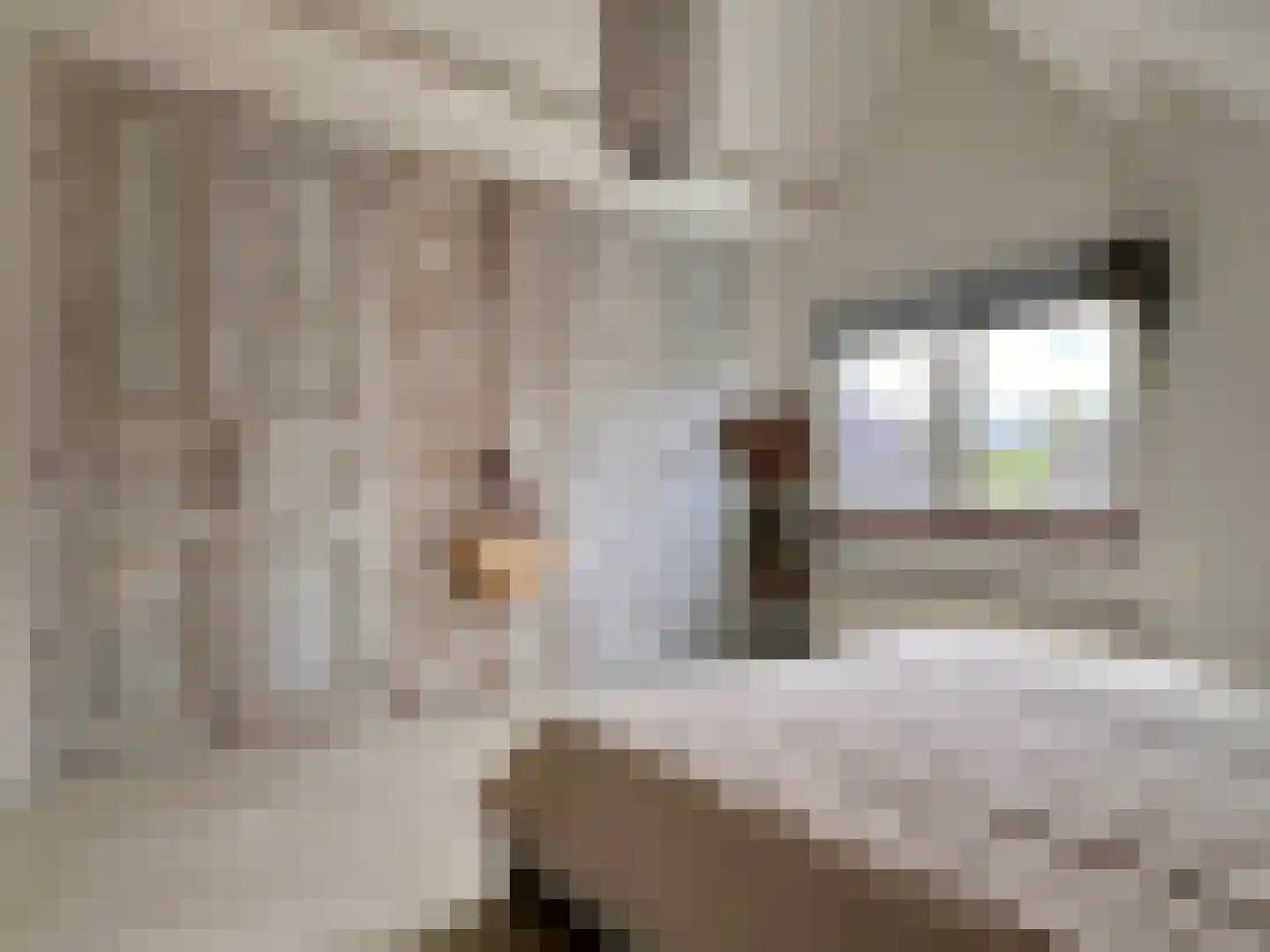 Kleine Heistraat 16 K368 Wernhout thumbnail 4