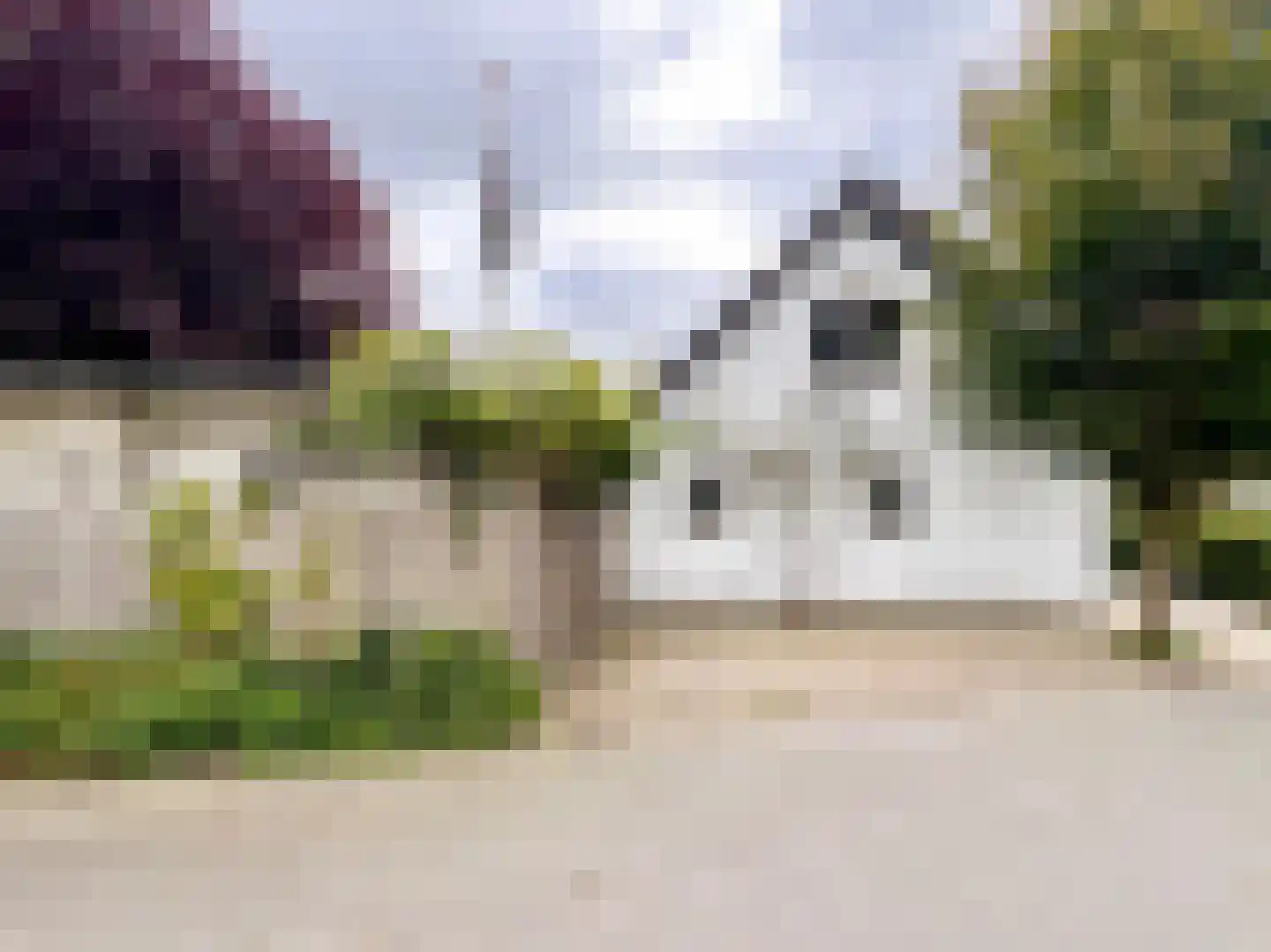 Kleine Heistraat 16 K368 Wernhout thumbnail 5