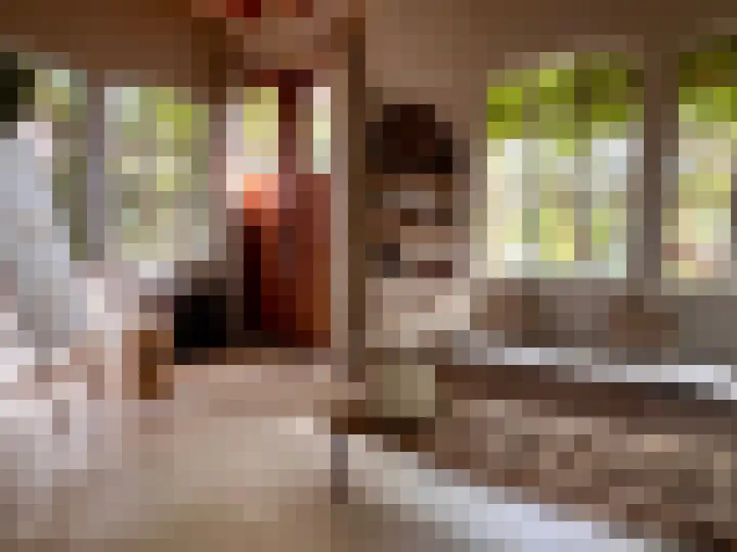 Kleine Heistraat 16 K368 Wernhout thumbnail 8