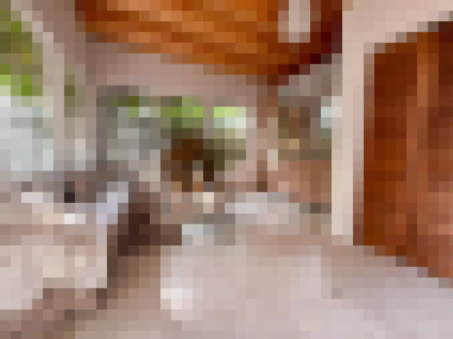 Kleine Heistraat 16 K368 Wernhout thumbnail 9