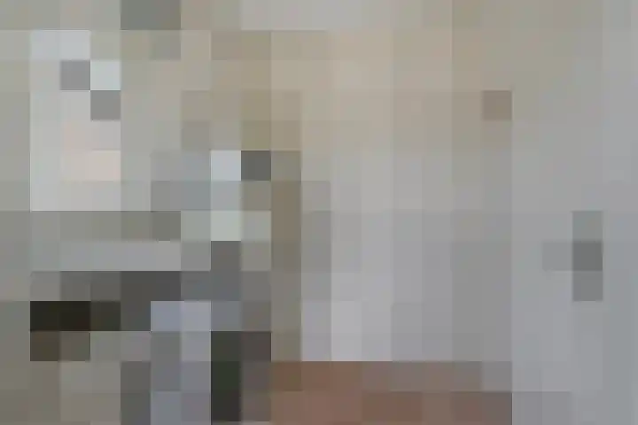Kleine Heistraat 16 K374 Wernhout thumbnail 23