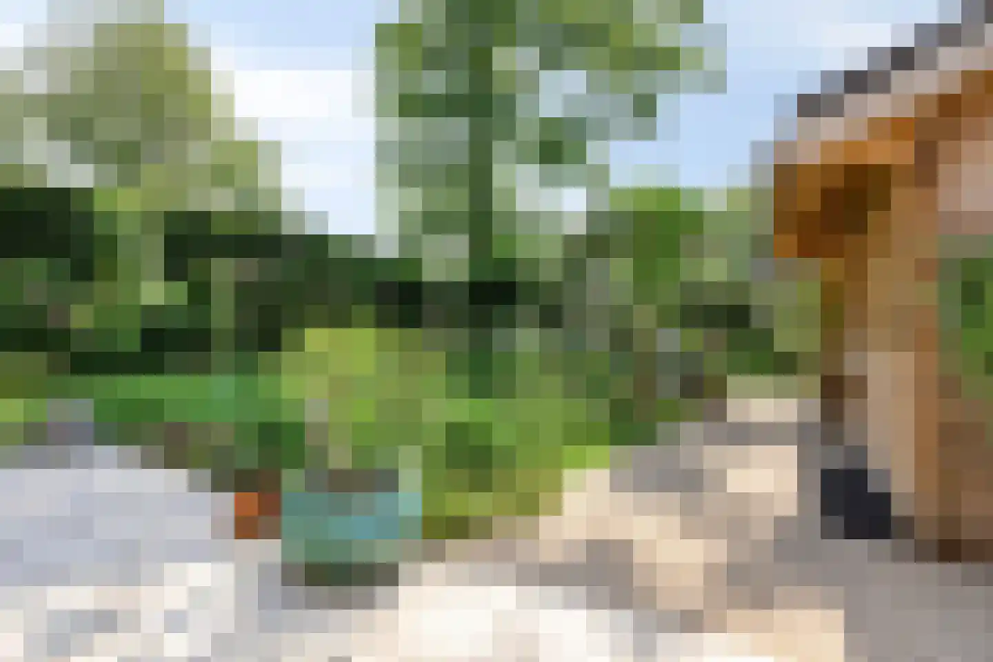 Kleine Heistraat 16 K388 Wernhout thumbnail 42