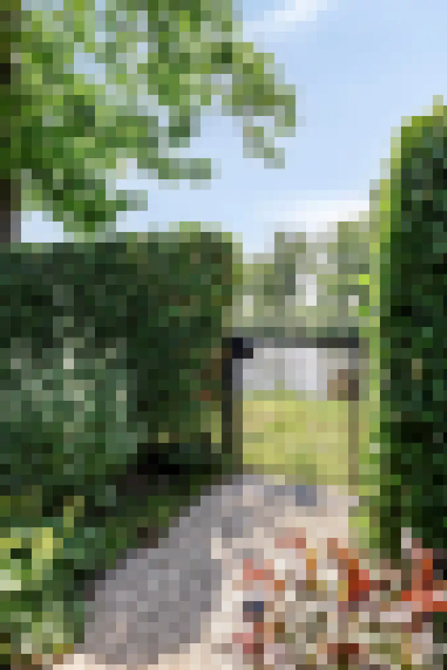 Kleine Heistraat 16 K388 Wernhout thumbnail 49
