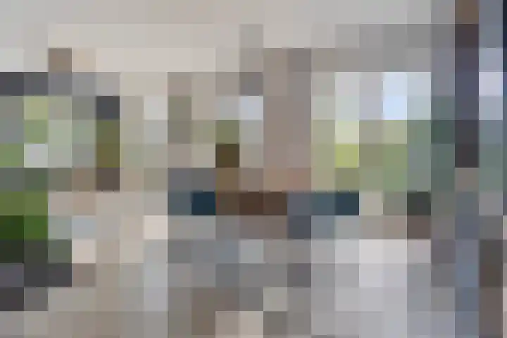 Kleine Heistraat 16 K410 Wernhout thumbnail 12