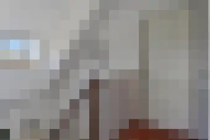 Kleine Heistraat 16 K410 Wernhout thumbnail 19