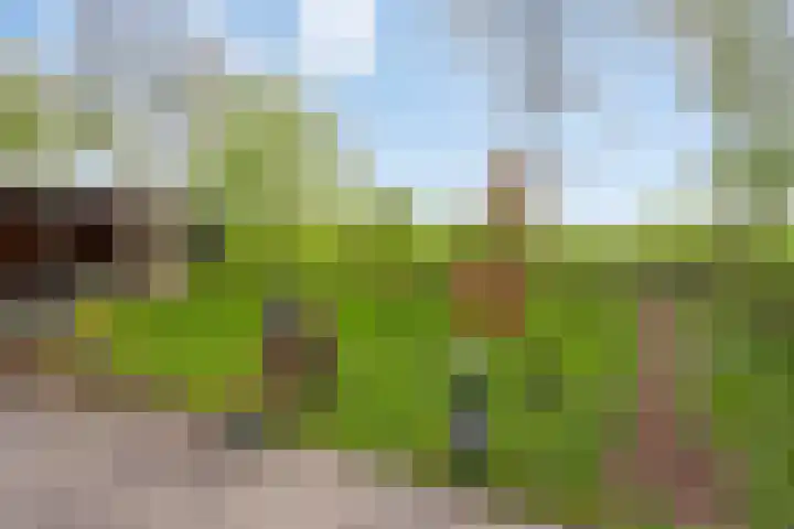 Kleine Heistraat 16 K410 Wernhout thumbnail 30