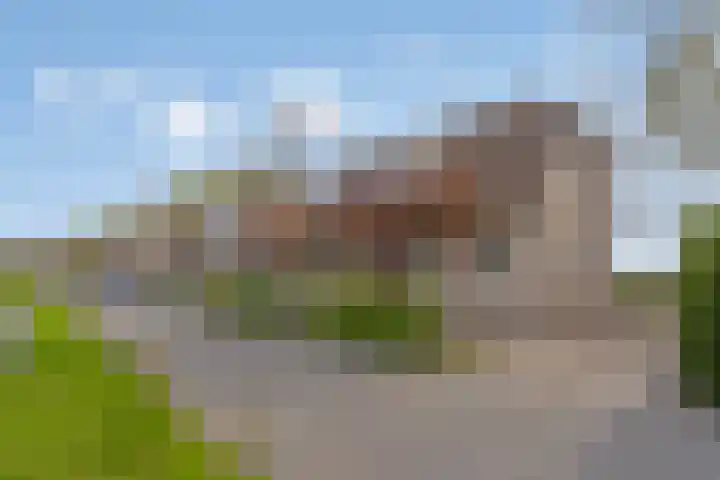 Kleine Heistraat 16 K410 Wernhout thumbnail 41