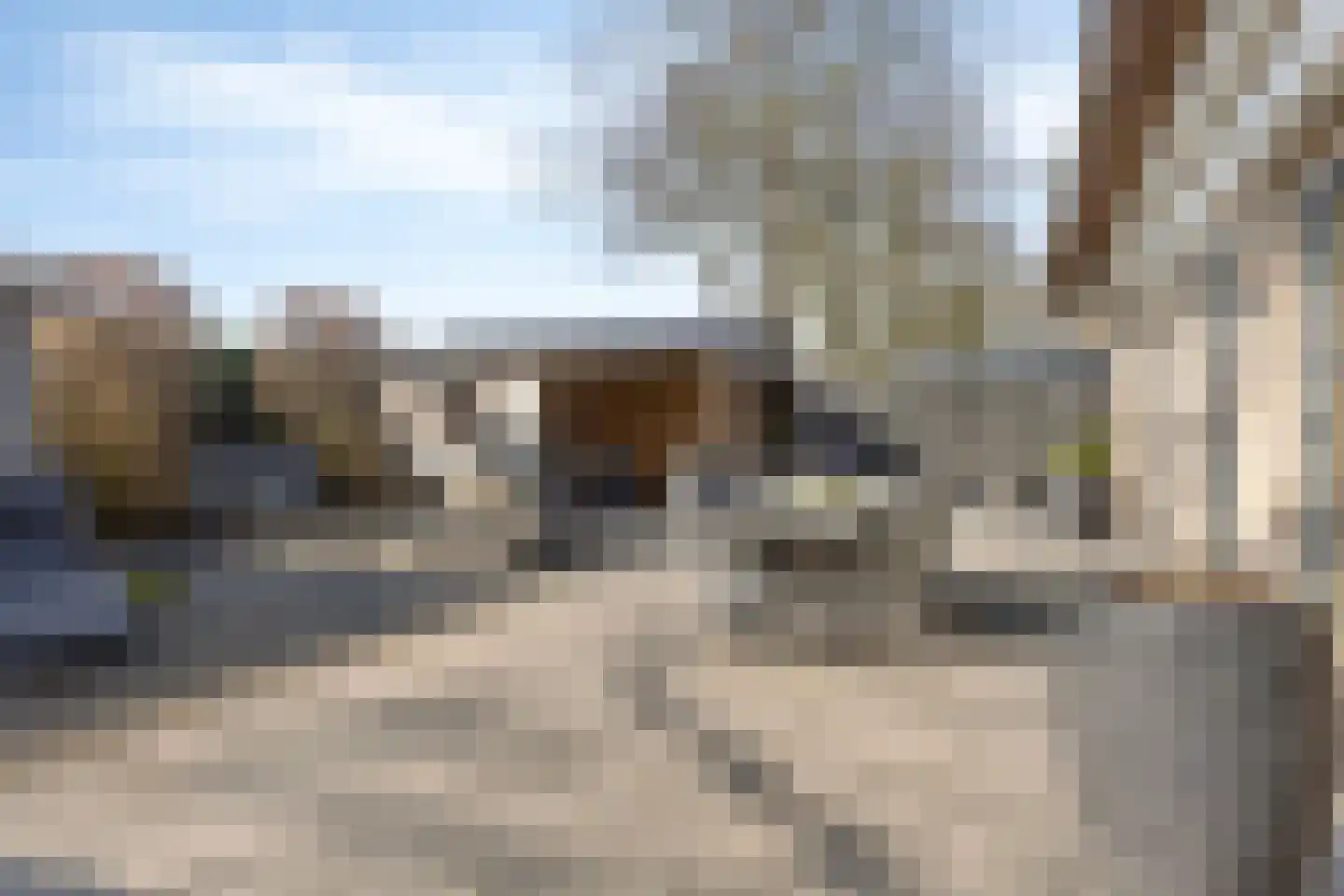 Kleine Heistraat 16 K414 Wernhout thumbnail 37