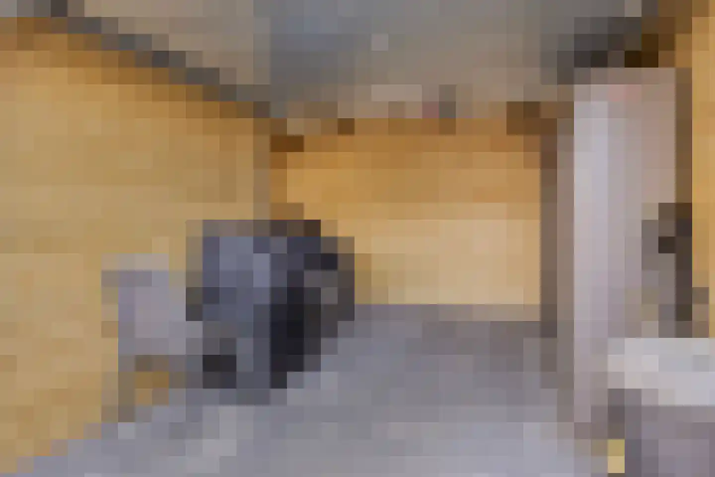 Kleine Heistraat 16 K414 Wernhout thumbnail 42