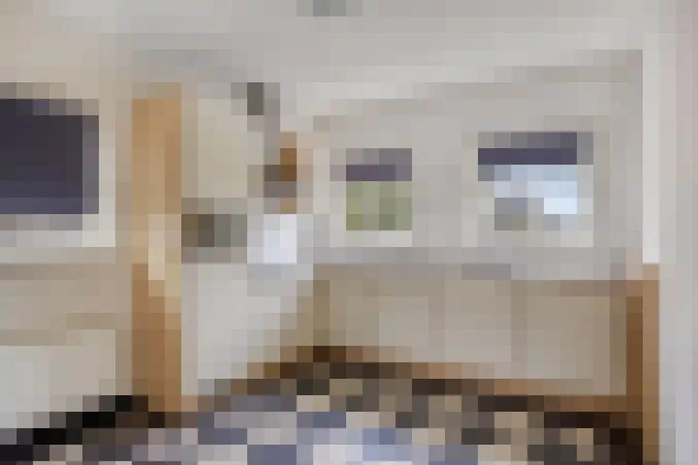 Kleine Heistraat 16 K447 Wernhout thumbnail 4
