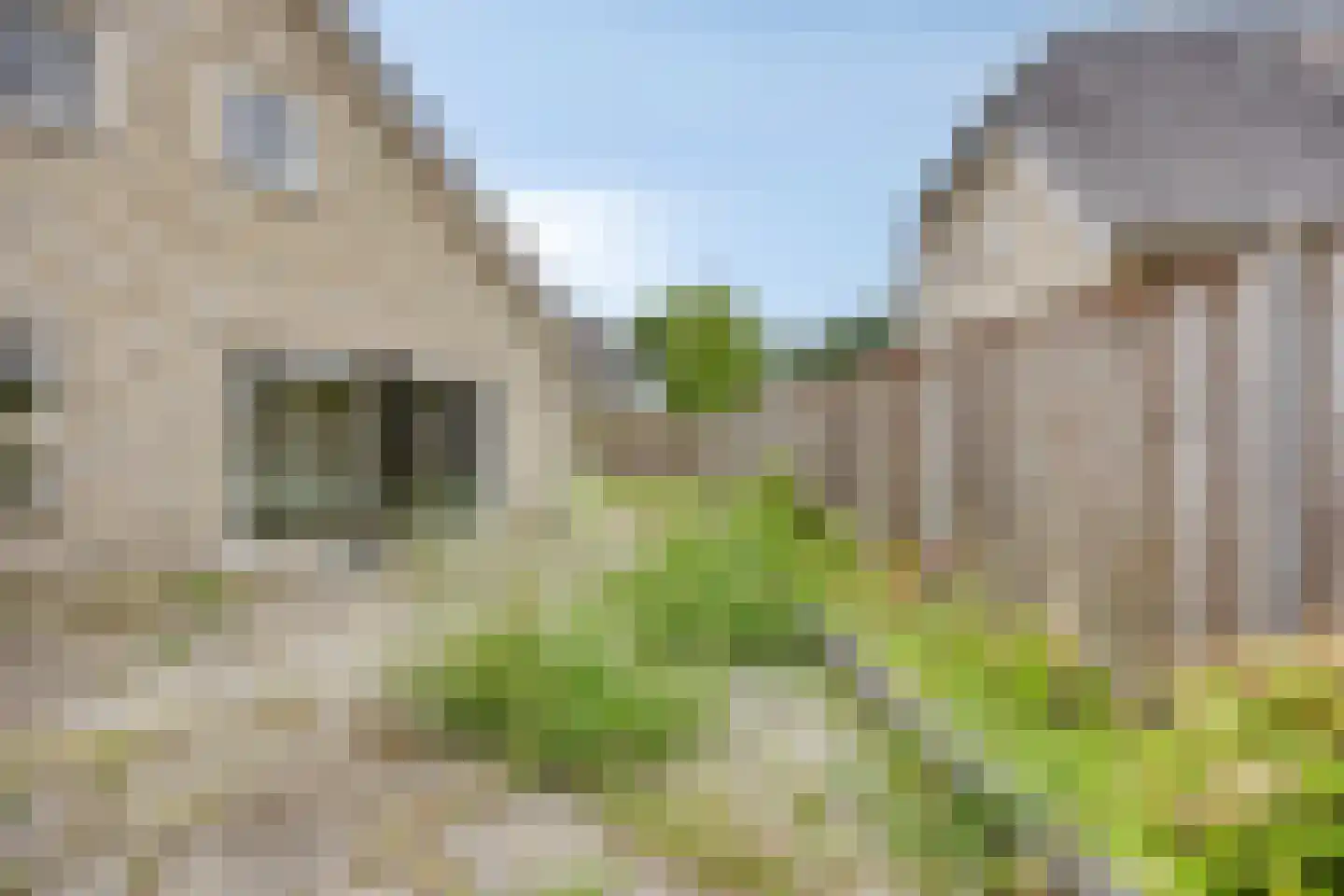 Kleine Heistraat 16 K449 Wernhout thumbnail 24