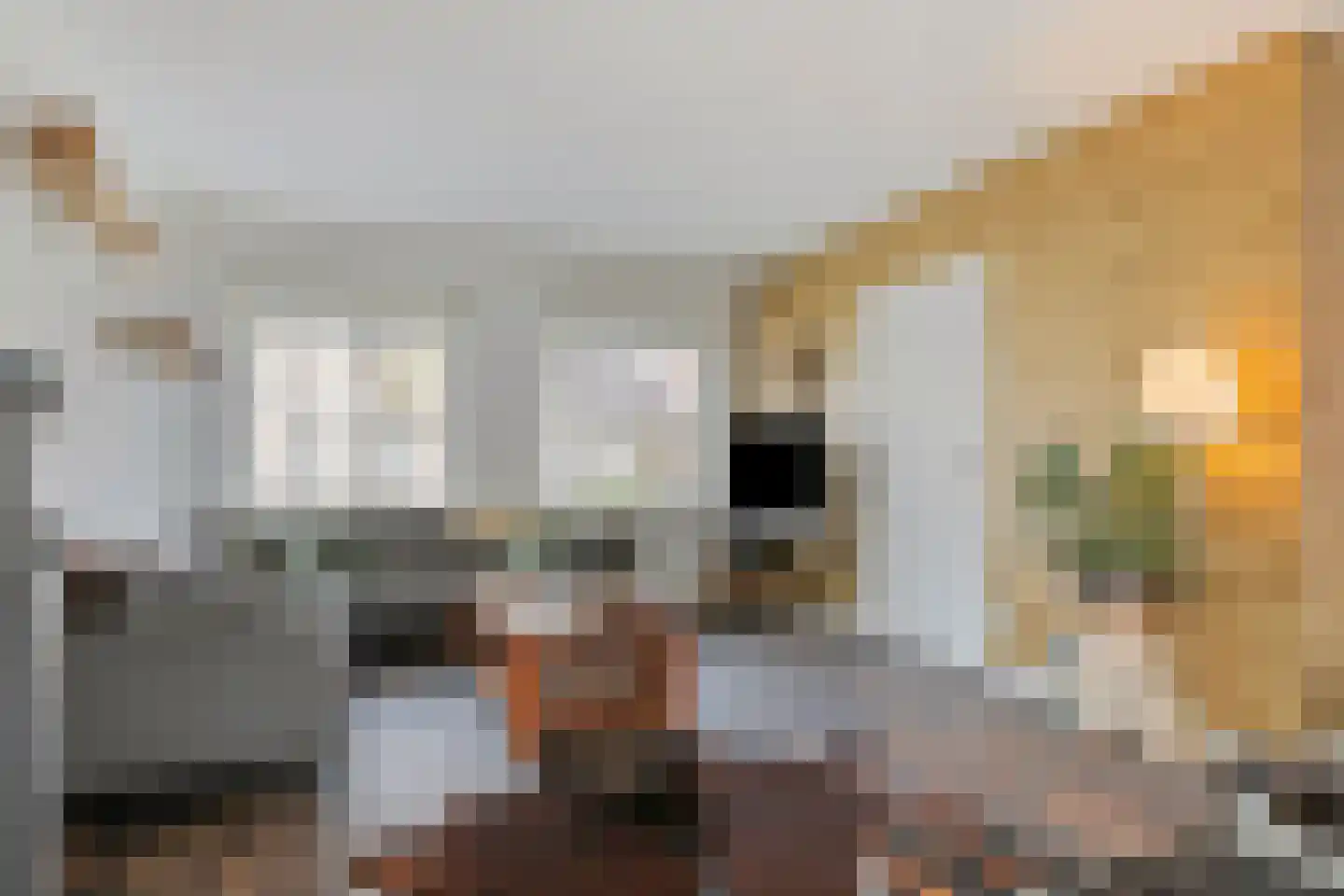 Kleine Heistraat 16 K452 Wernhout thumbnail 13