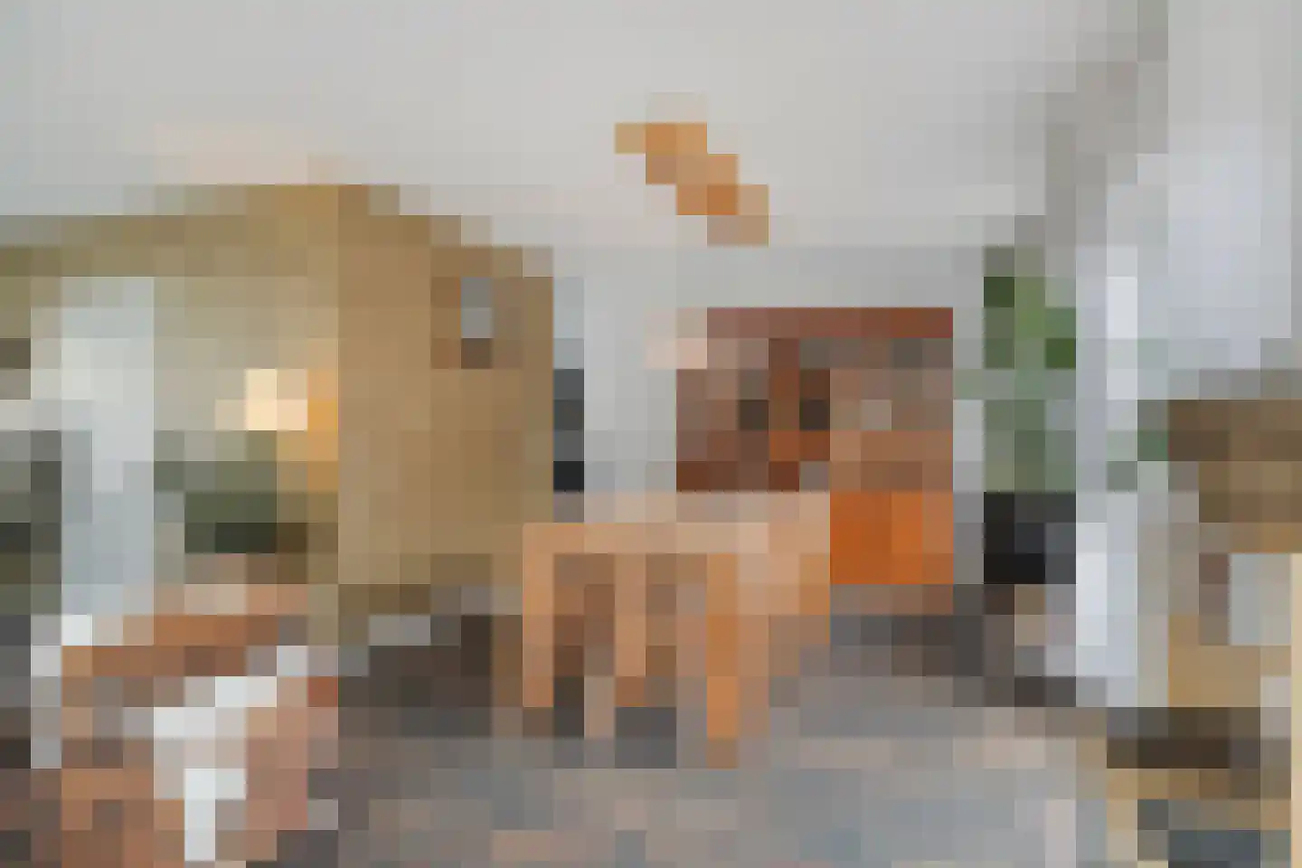 Kleine Heistraat 16 K452 Wernhout thumbnail 18