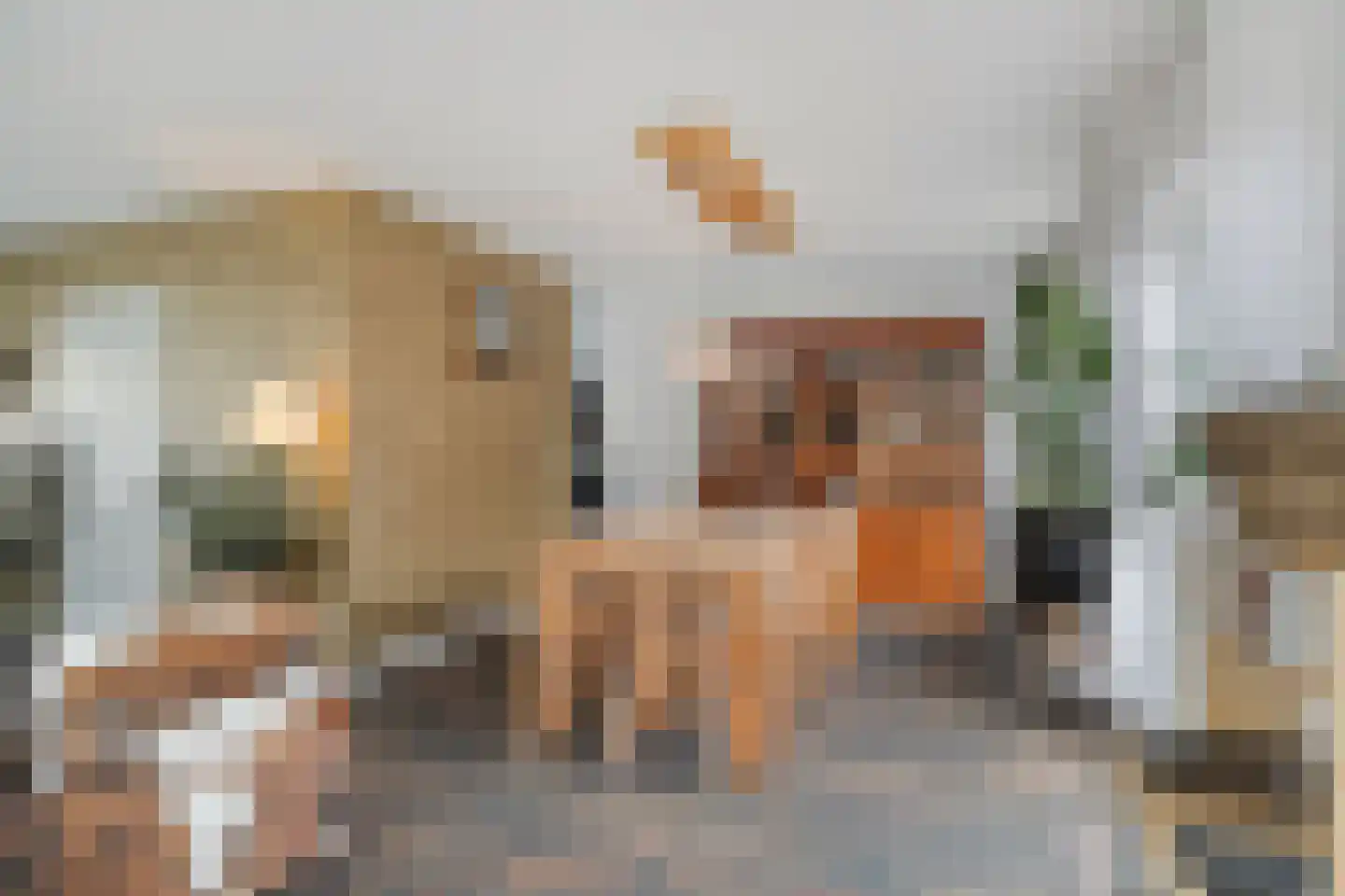 Kleine Heistraat 16 K452 Wernhout thumbnail 18