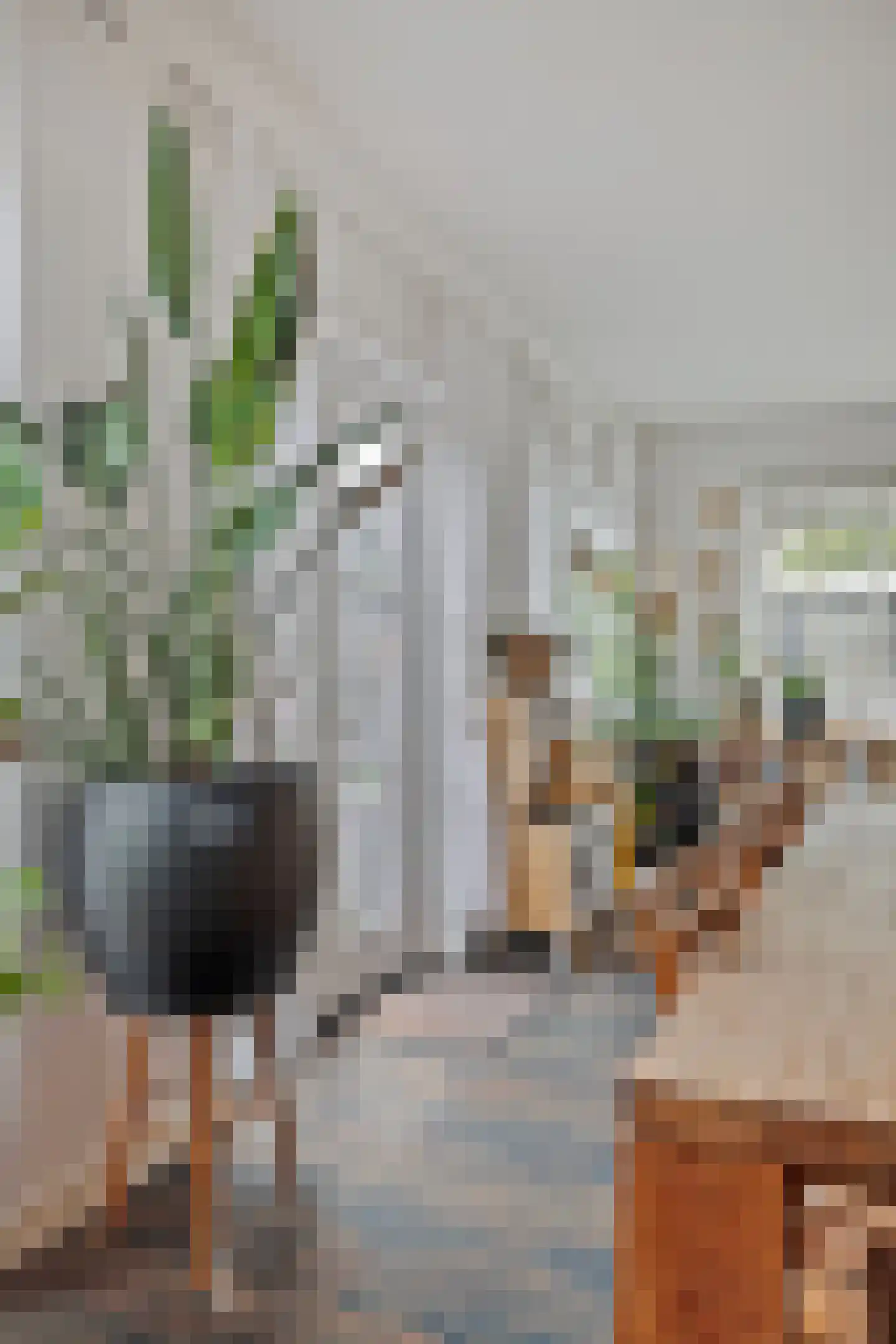 Kleine Heistraat 16 K452 Wernhout thumbnail 20