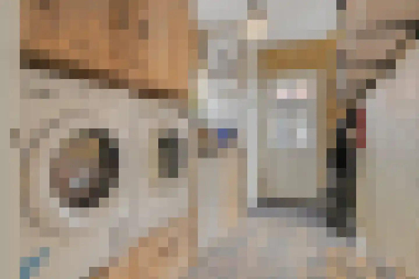Kleine Heistraat 16 K452 Wernhout thumbnail 27