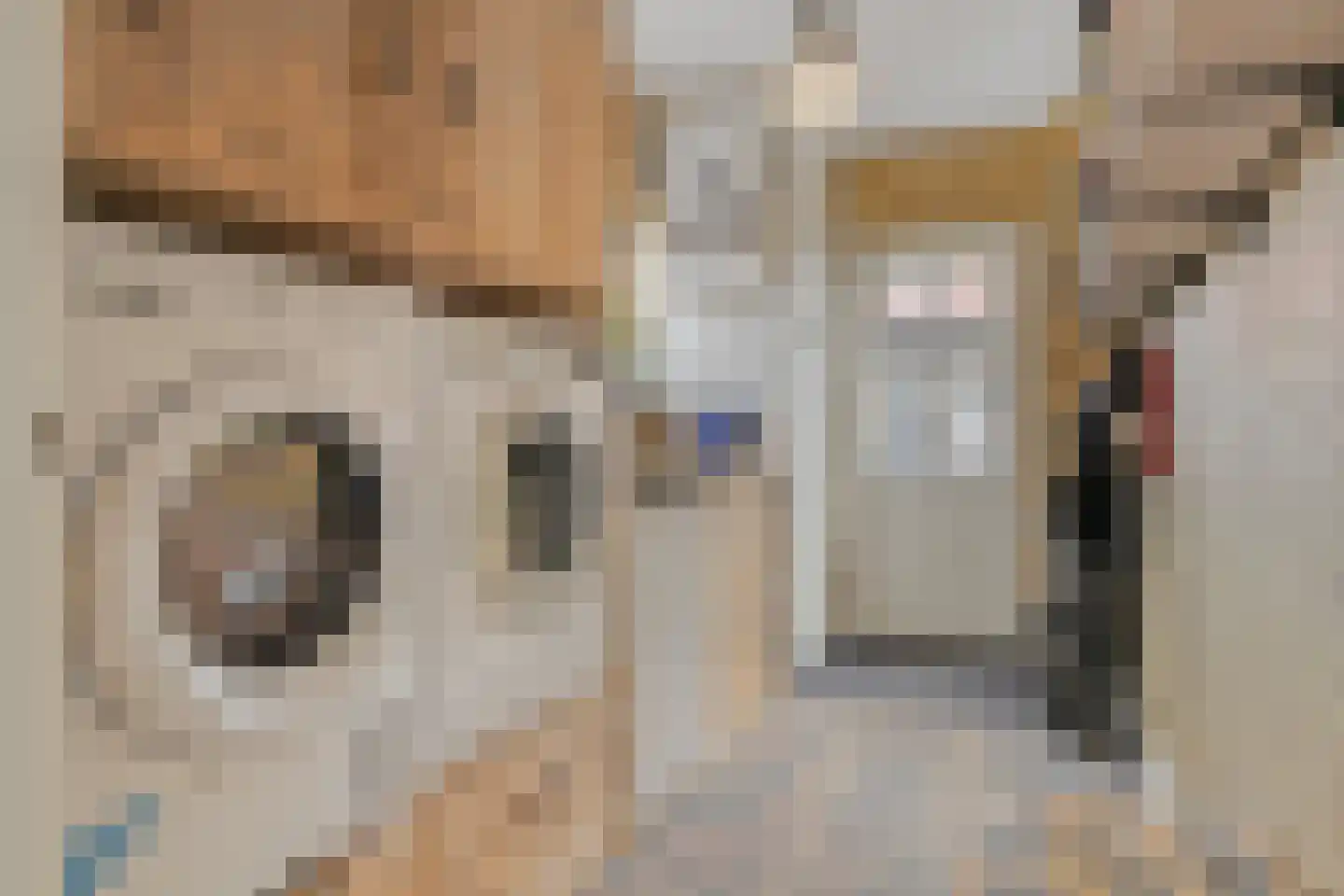 Kleine Heistraat 16 K452 Wernhout thumbnail 27