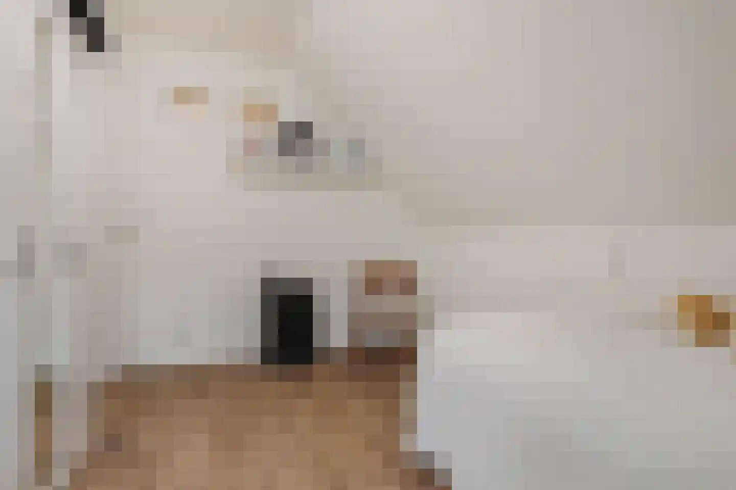 Kleine Heistraat 16 K452 Wernhout thumbnail 34