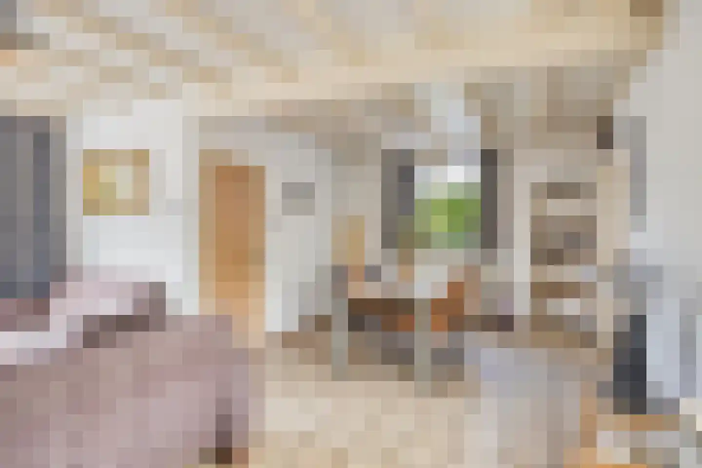 Kleine Heistraat 5 Wernhout thumbnail 11