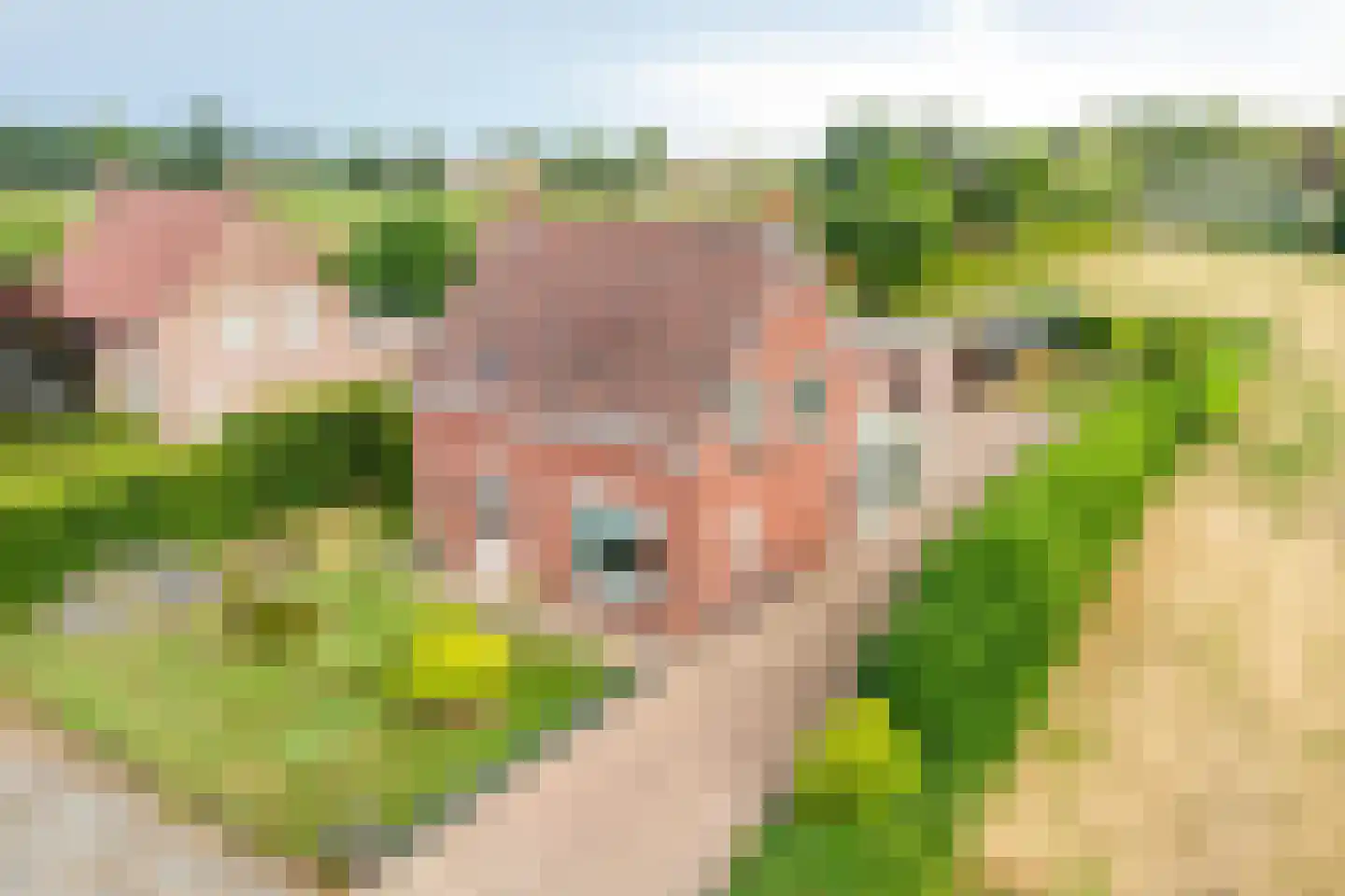 Kleine Heistraat 5 Wernhout thumbnail 40