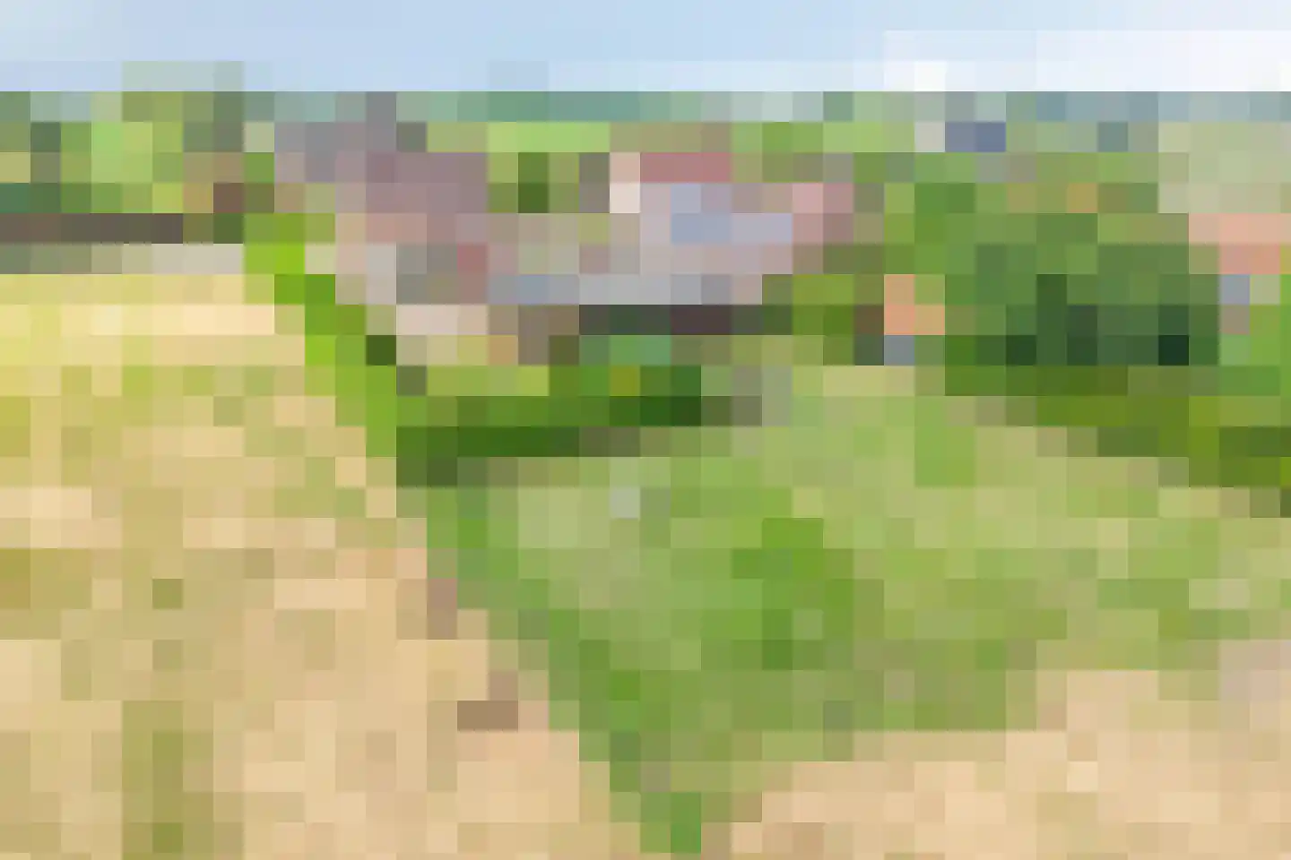 Kleine Heistraat 5 Wernhout thumbnail 47