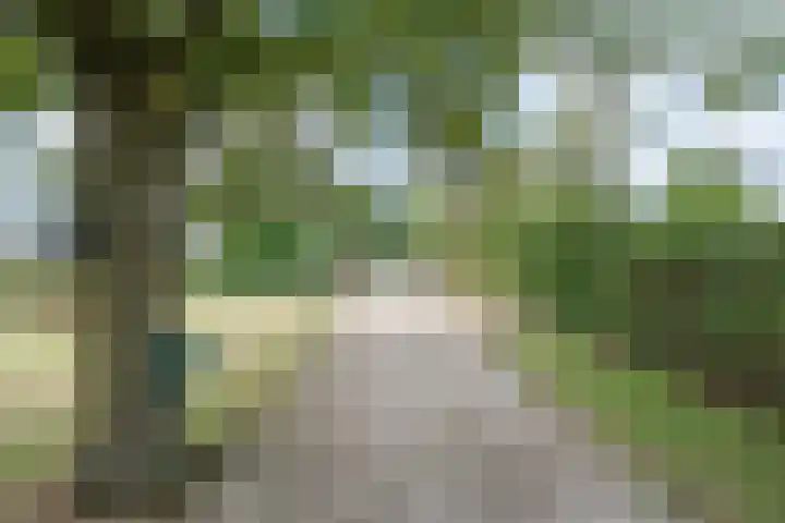 Kleine Heitrak 30 Asten thumbnail 10