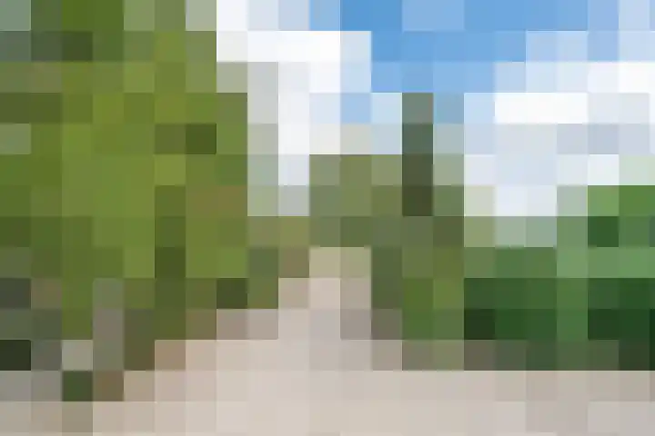 Kleine Heitrak 30 Asten thumbnail 11