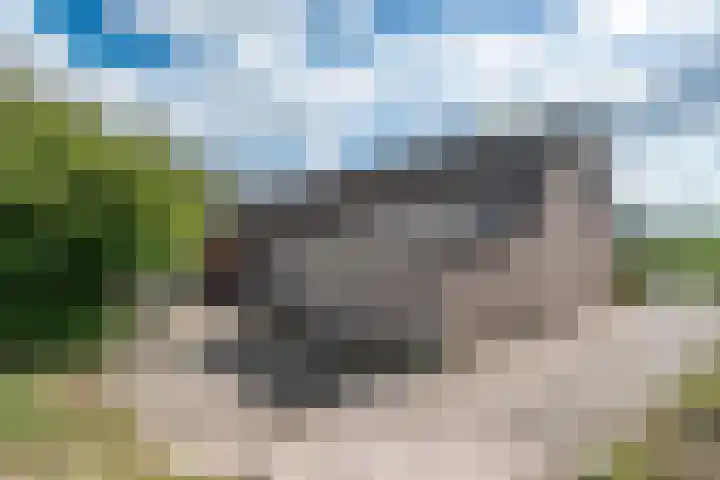 Kleine Heitrak 30 Asten thumbnail 14