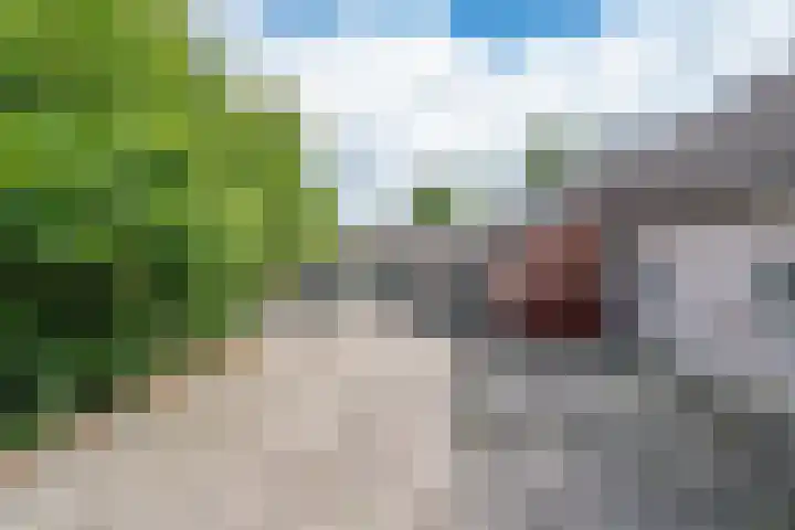 Kleine Heitrak 30 Asten thumbnail 15