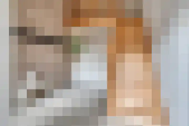 Kleine Heitrak 30 Asten thumbnail 16