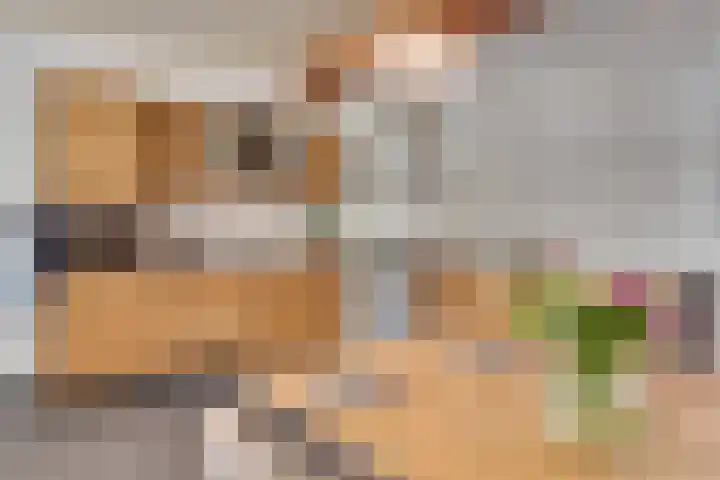 Kleine Heitrak 30 Asten thumbnail 18