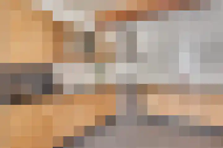 Kleine Heitrak 30 Asten thumbnail 19