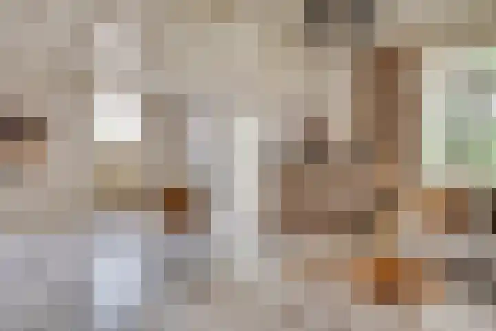 Kleine Heitrak 30 Asten thumbnail 21