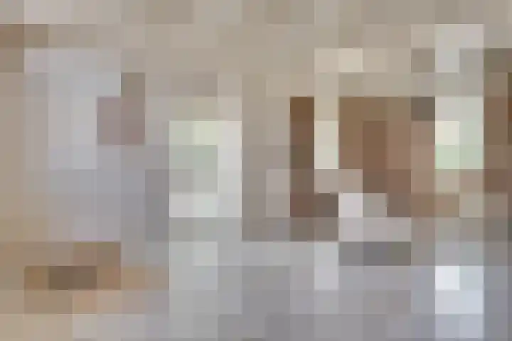 Kleine Heitrak 30 Asten thumbnail 22