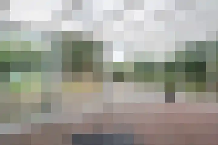 Kleine Heitrak 30 Asten thumbnail 27