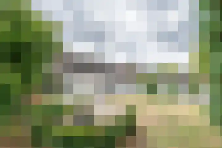 Kleine Heitrak 30 Asten thumbnail 28