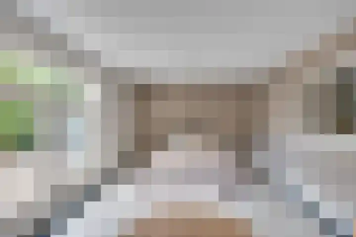 Kleine Heitrak 30 Asten thumbnail 35