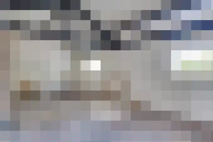 Kleine Heitrak 30 Asten thumbnail 36