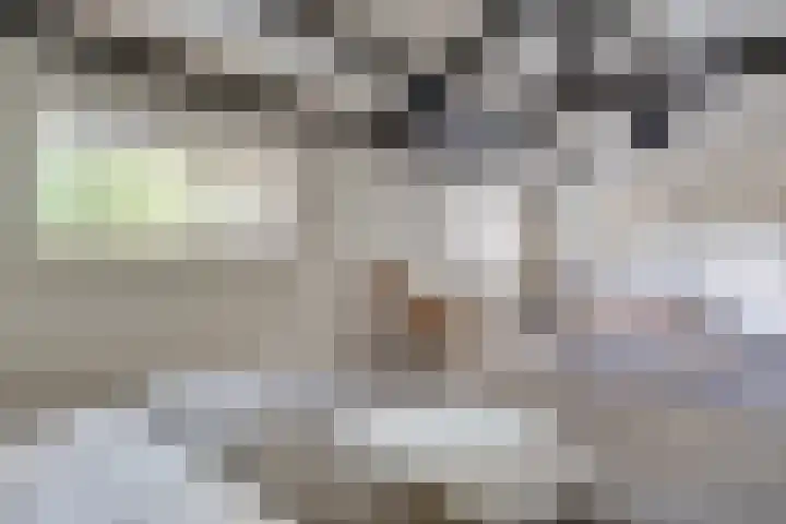 Kleine Heitrak 30 Asten thumbnail 37