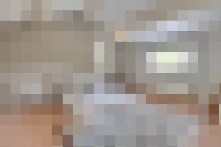 Kleine Heitrak 30 Asten thumbnail 39